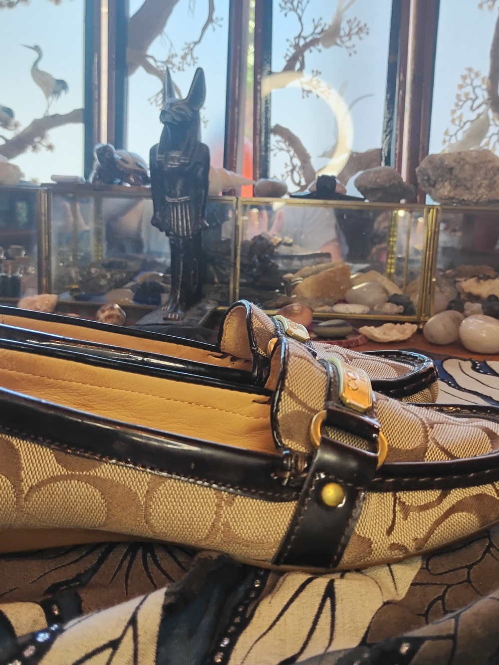 Coach Brown Signature Canvas Loafers with Dark Brown Trim - Picture 8 of 16